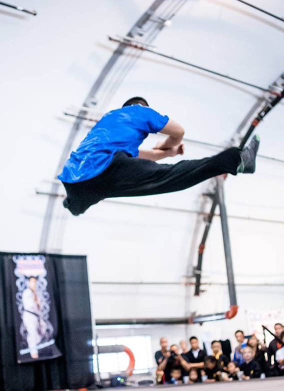 Master Zhao — Mid-Air Jump Kick